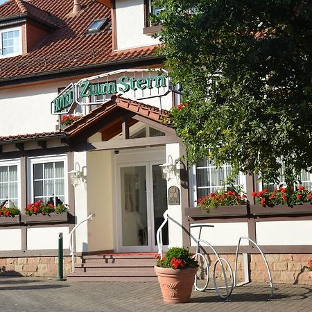 Parkhotel Zum Stern Oberaula Bagian luar foto