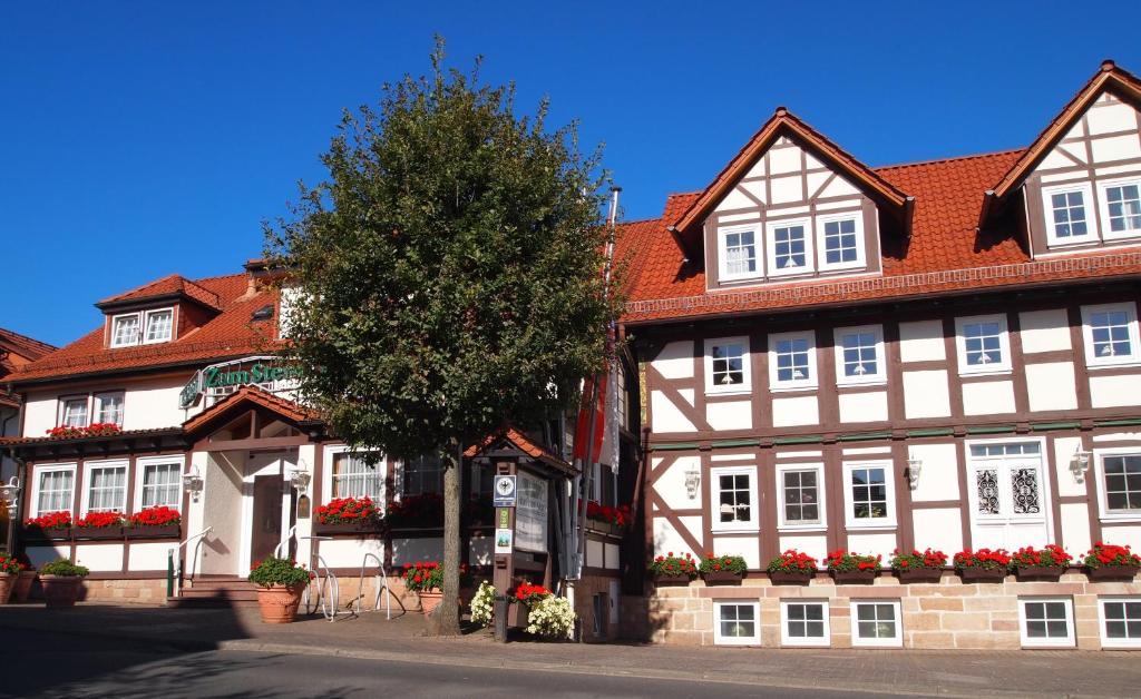 Parkhotel Zum Stern Oberaula Bagian luar foto