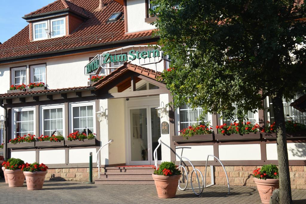 Parkhotel Zum Stern Oberaula Bagian luar foto